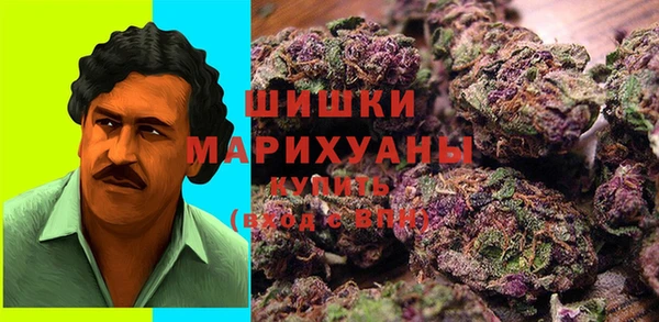 ALPHA PVP Богородицк