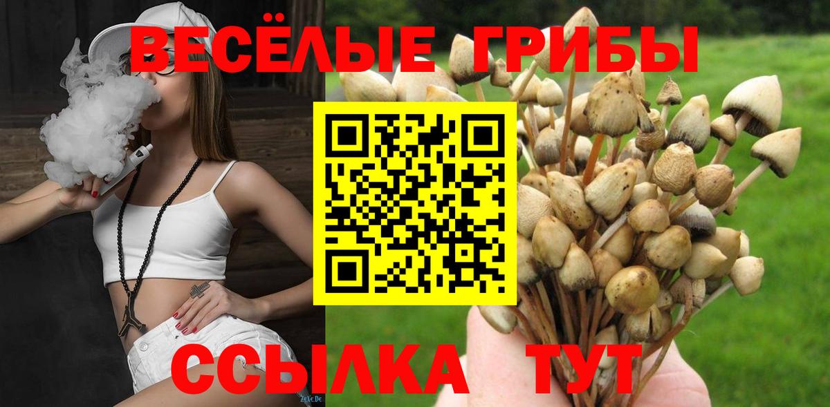 Бугуруслан  Галлюциногенные грибы MAGIC MUSHROOMS  Псилоцибиновые грибы мицелий  Вход с VPN 
