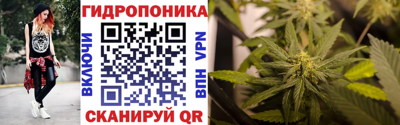 Марихуана Amnesia  Бугуруслан 